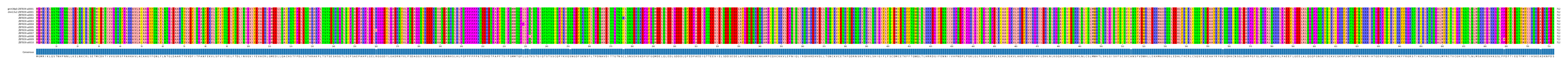 Multiple Alignments (by translate haplotype frequency)