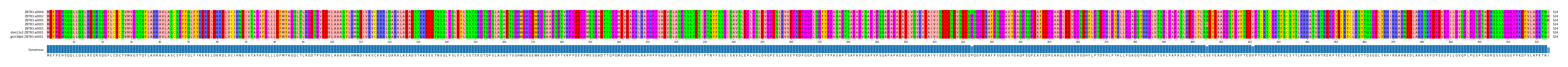 Multiple Alignments (by translate haplotype similarity)