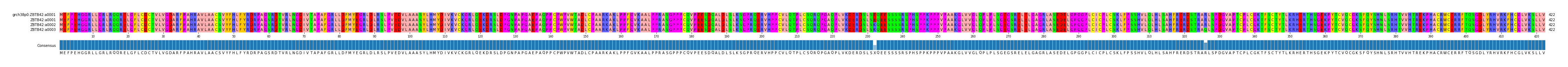 Multiple Alignments (by translate haplotype similarity)