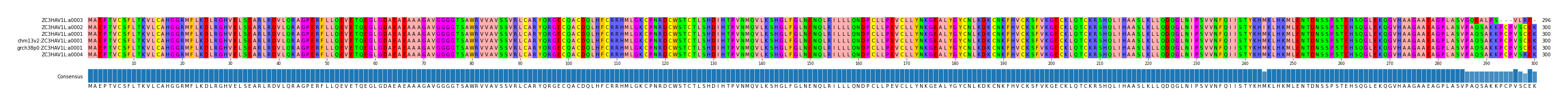Multiple Alignments (by translate haplotype similarity)