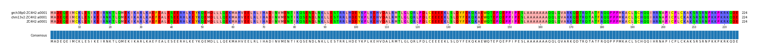 Multiple Alignments (by translate haplotype similarity)