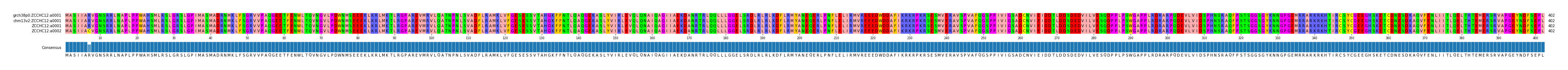 Multiple Alignments (by translate haplotype similarity)