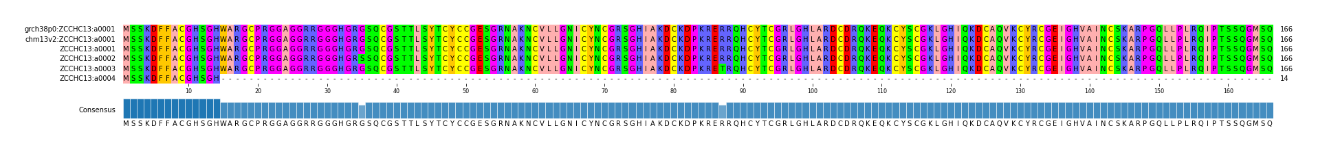 Multiple Alignments (by translate haplotype frequency)