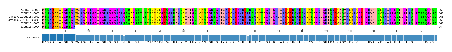 Multiple Alignments (by translate haplotype similarity)