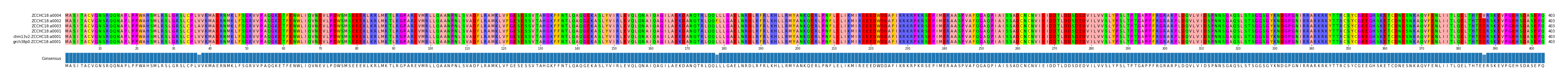 Multiple Alignments (by translate haplotype similarity)