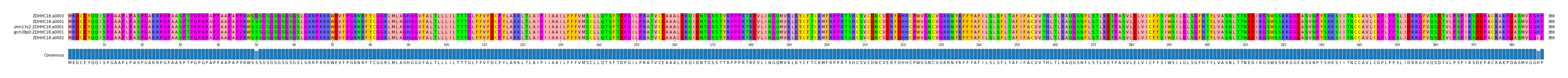 Multiple Alignments (by translate haplotype similarity)