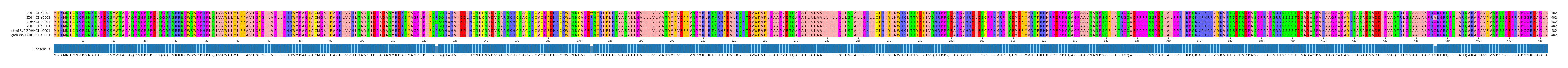 Multiple Alignments (by translate haplotype similarity)