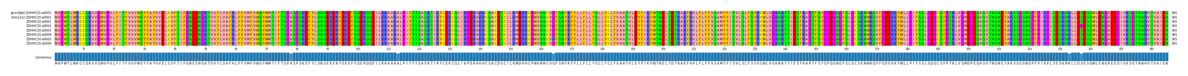 Multiple Alignments (by translate haplotype frequency)
