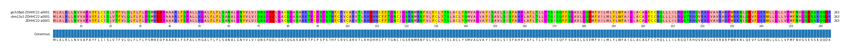 Multiple Alignments (by translate haplotype similarity)