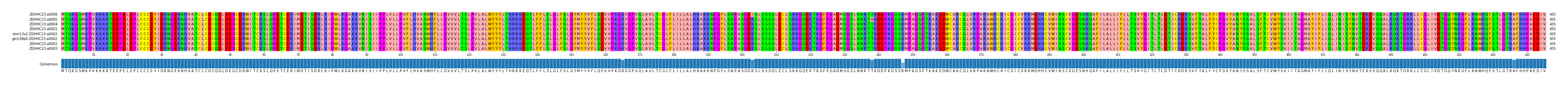 Multiple Alignments (by translate haplotype similarity)