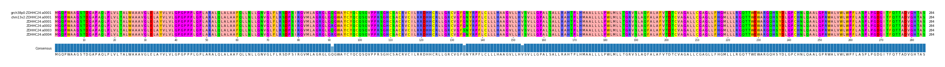 Multiple Alignments (by translate haplotype frequency)