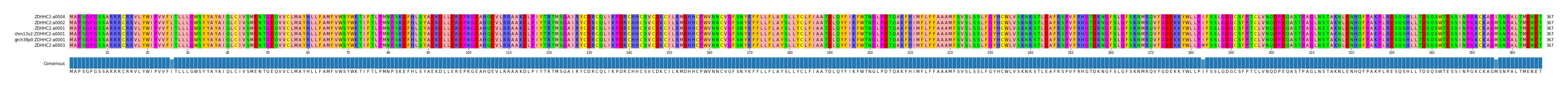 Multiple Alignments (by translate haplotype similarity)