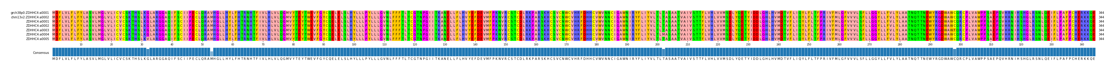 Multiple Alignments (by translate haplotype frequency)