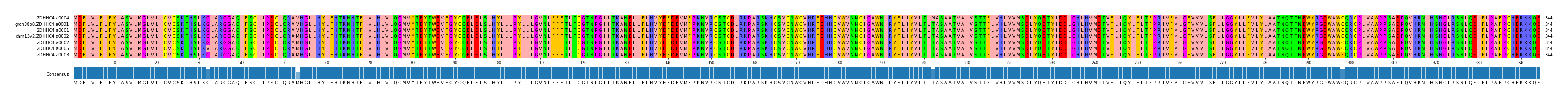 Multiple Alignments (by translate haplotype similarity)