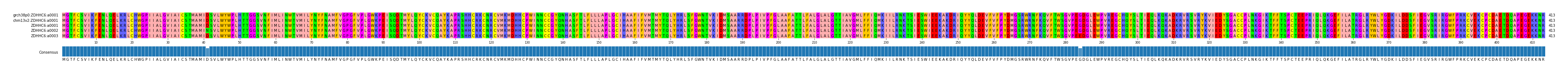Multiple Alignments (by translate haplotype frequency)