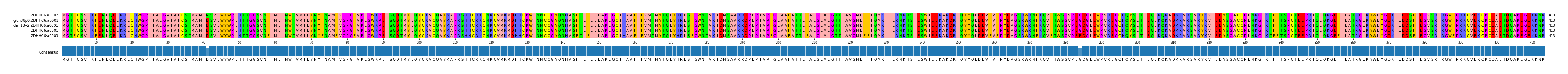Multiple Alignments (by translate haplotype similarity)