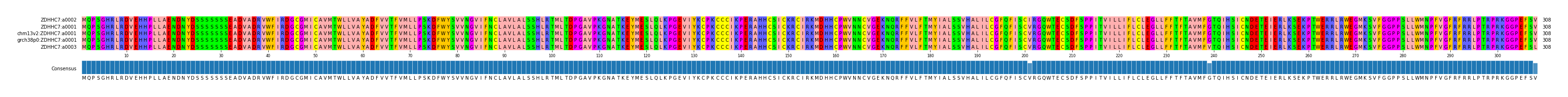Multiple Alignments (by translate haplotype similarity)