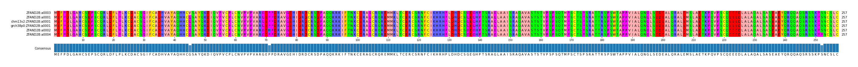 Multiple Alignments (by translate haplotype similarity)