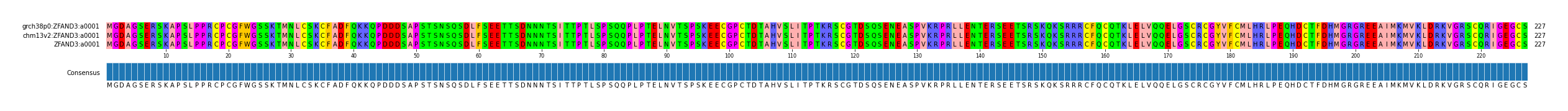 Multiple Alignments (by translate haplotype similarity)