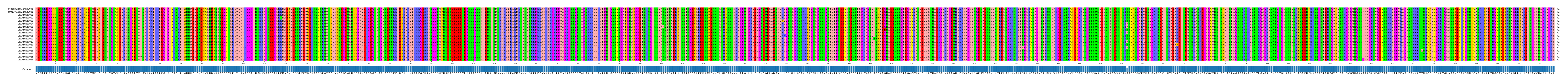 Multiple Alignments (by translate haplotype frequency)