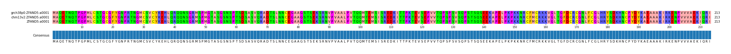 Multiple Alignments (by translate haplotype similarity)