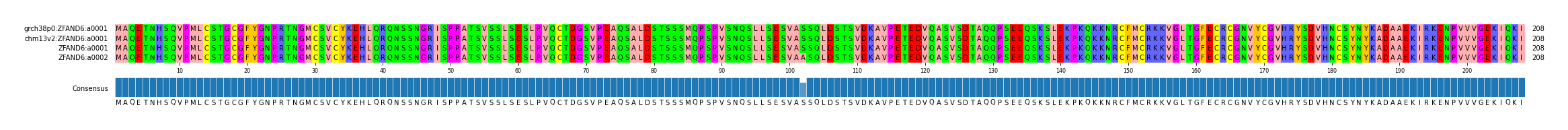 Multiple Alignments (by translate haplotype similarity)