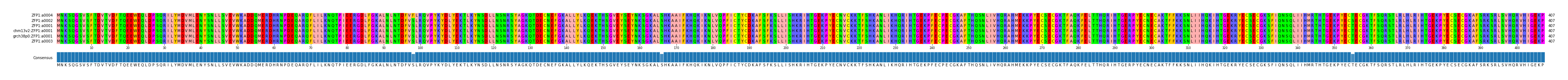 Multiple Alignments (by translate haplotype similarity)
