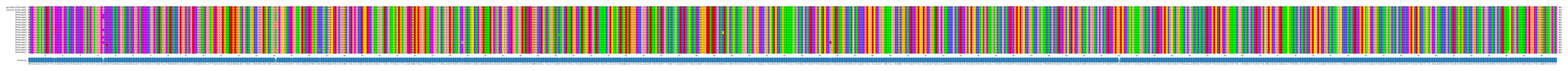 Multiple Alignments (by translate haplotype frequency)