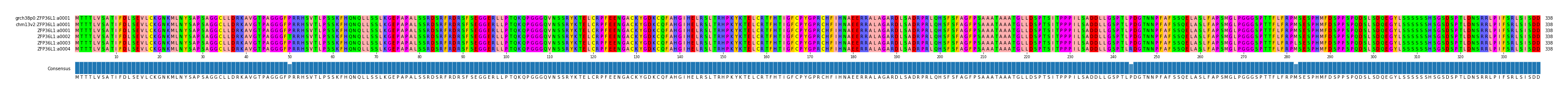 Multiple Alignments (by translate haplotype frequency)