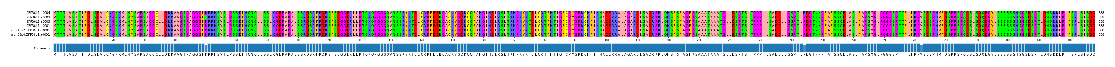 Multiple Alignments (by translate haplotype similarity)