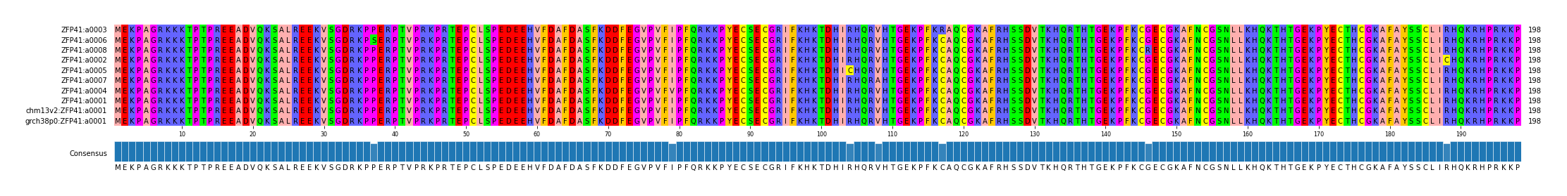 Multiple Alignments (by translate haplotype similarity)