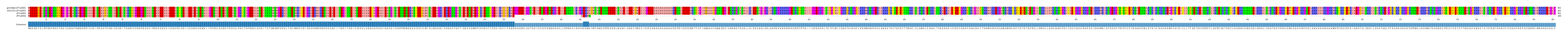 Multiple Alignments (by translate haplotype similarity)