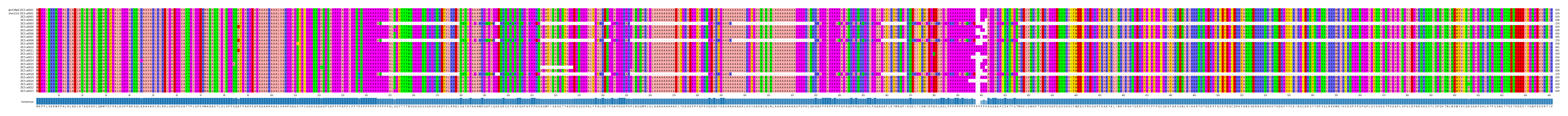Multiple Alignments (by translate haplotype frequency)