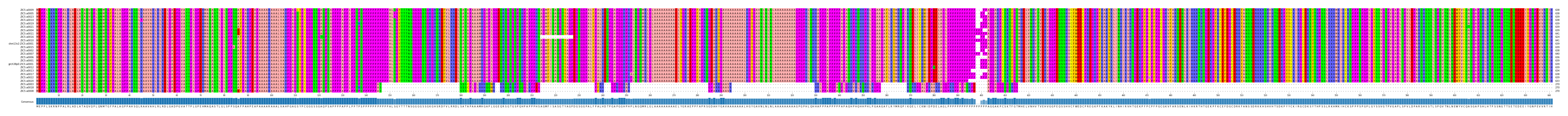 Multiple Alignments (by translate haplotype similarity)