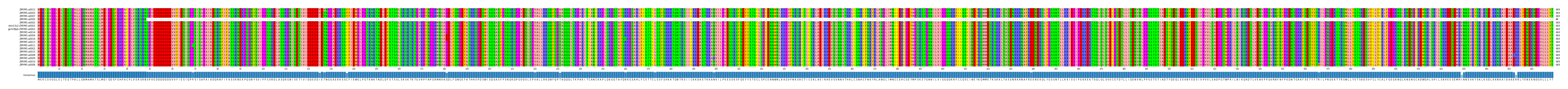 Multiple Alignments (by translate haplotype similarity)