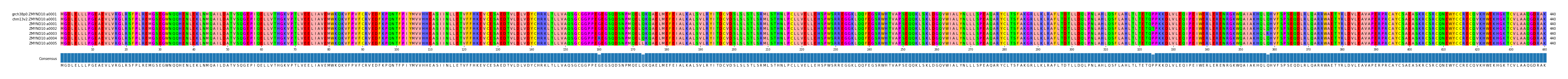Multiple Alignments (by translate haplotype frequency)