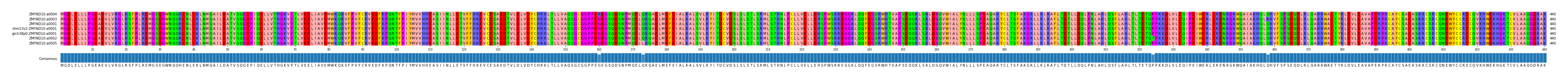 Multiple Alignments (by translate haplotype similarity)