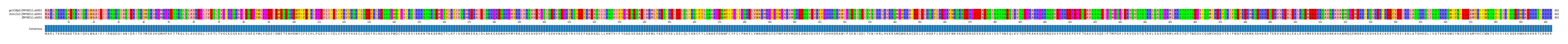 Multiple Alignments (by translate haplotype similarity)
