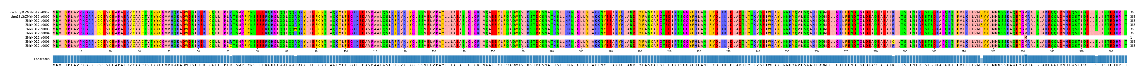 Multiple Alignments (by translate haplotype frequency)