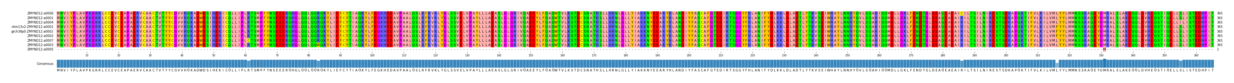 Multiple Alignments (by translate haplotype similarity)
