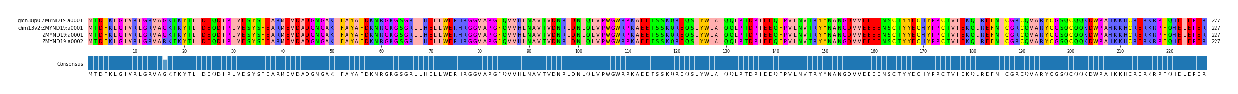 Multiple Alignments (by translate haplotype similarity)