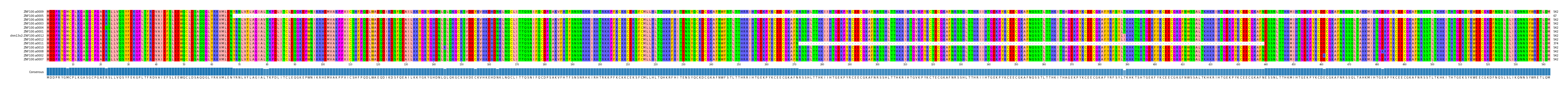 Multiple Alignments (by translate haplotype similarity)