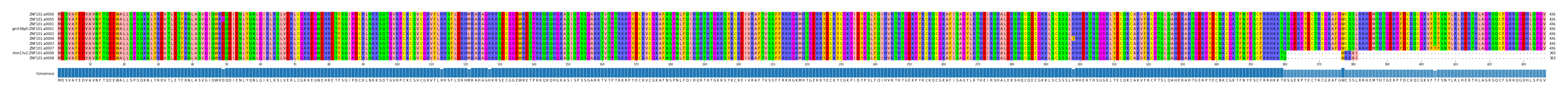 Multiple Alignments (by translate haplotype similarity)