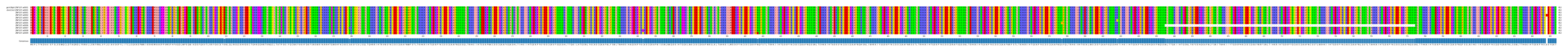 Multiple Alignments (by translate haplotype frequency)