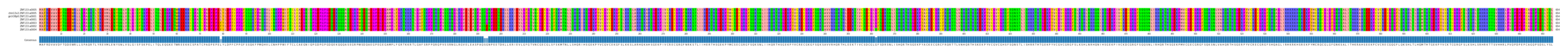 Multiple Alignments (by translate haplotype similarity)