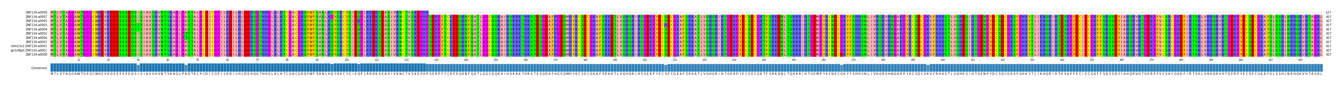 Multiple Alignments (by translate haplotype similarity)