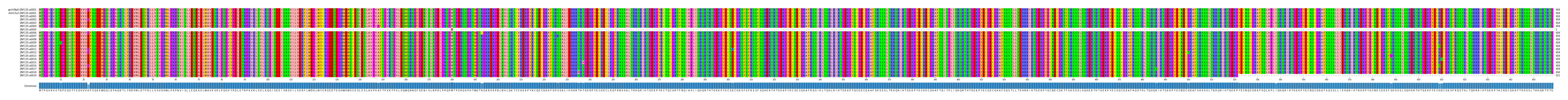 Multiple Alignments (by translate haplotype frequency)