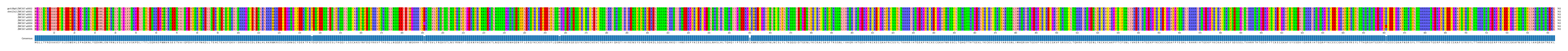 Multiple Alignments (by translate haplotype frequency)