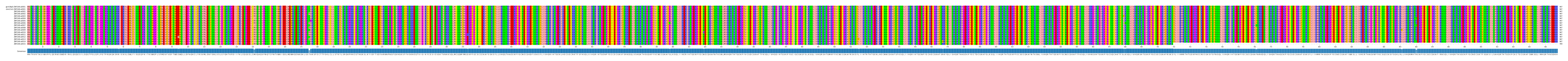 Multiple Alignments (by translate haplotype frequency)