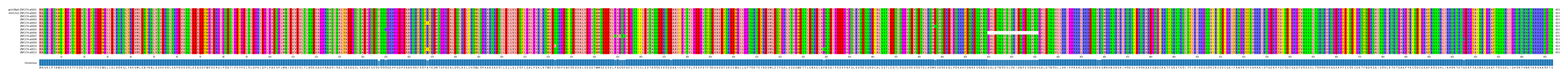Multiple Alignments (by translate haplotype frequency)